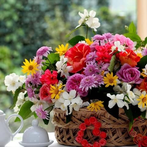 Arranjo de flores coloridas