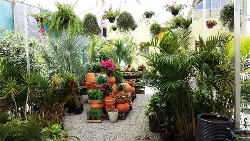 Corredor do garden center com vasos e plantas