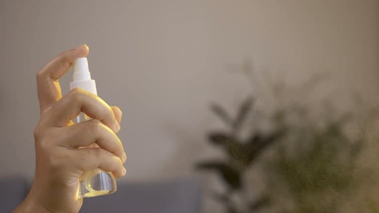 Home spray sendo borrifado perto da planta